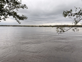 д. Кадниково, Кимрский муниципальный округ