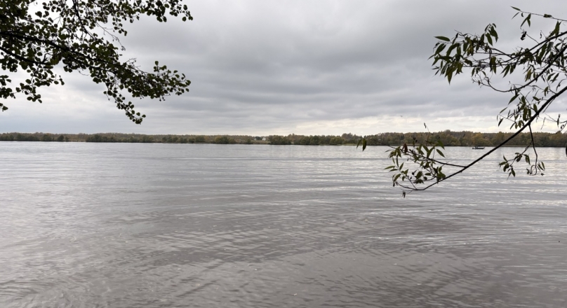 д. Кадниково, Кимрский муниципальный округ