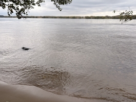 д. Кадниково, Кимрский муниципальный округ