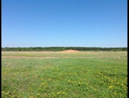 Коттеджный поселок Прибрежный