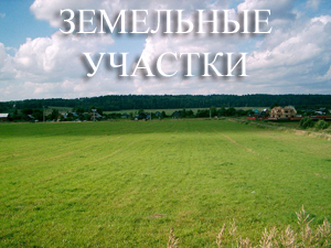 Коммерческая недвижимость